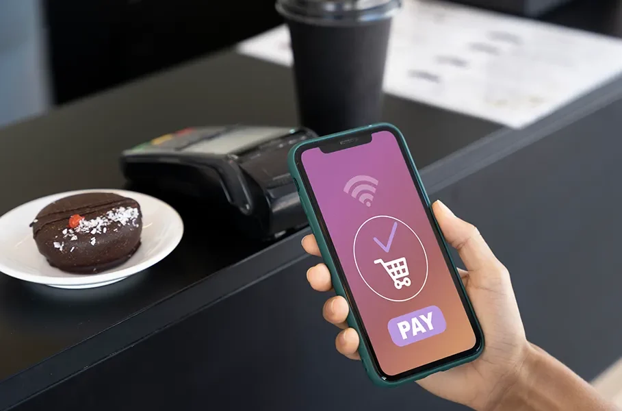 Payment Processing Solutions